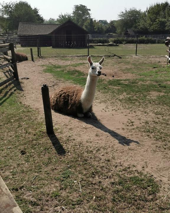 Café Manege im Tierpark Nadermann